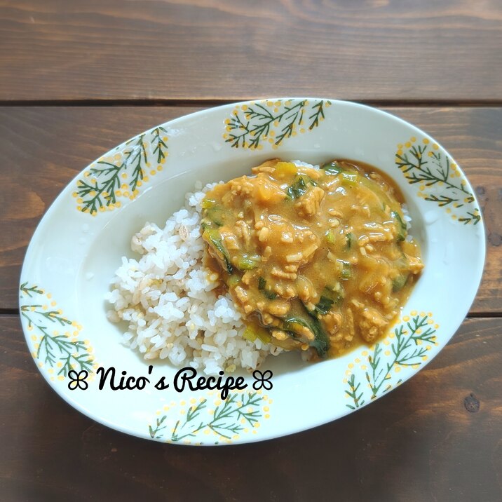ねぎねぎひき肉のカレー